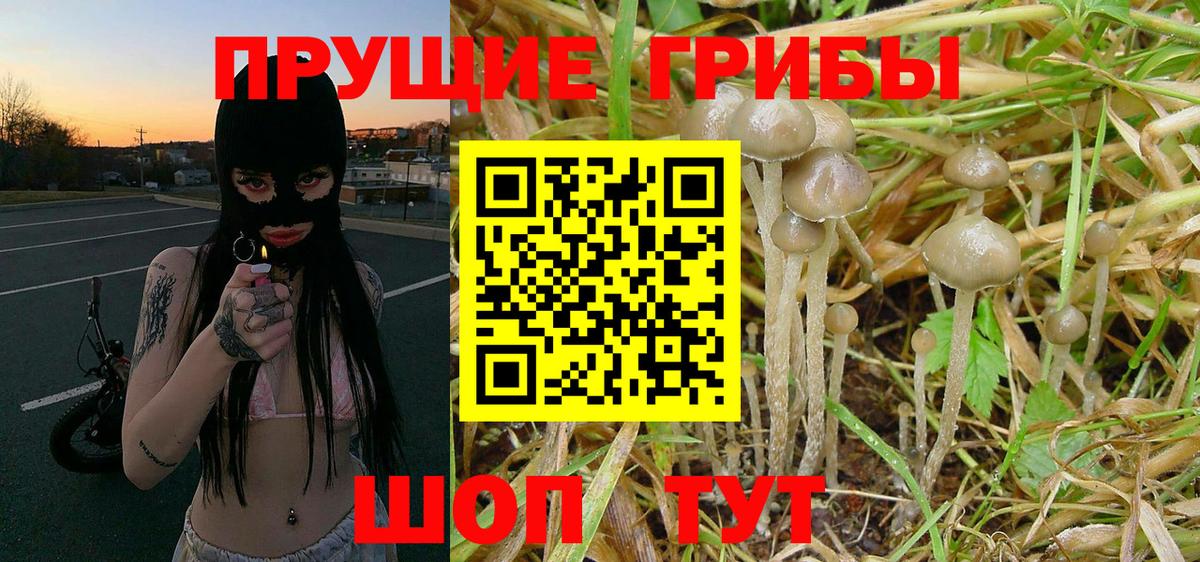 Галлюциногенные грибы MAGIC MUSHROOMS Куйбышев