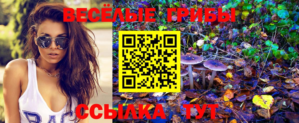 Псилоцибиновые грибы прущие грибы  Галлюциногенные грибы ЛСД  даркнет сайт  Куйбышев  Вход с VPN 